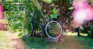 von_poll_real_estate_property_24014091_image_17