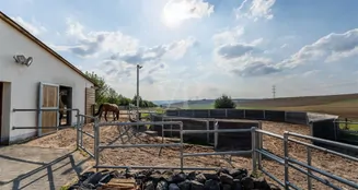 von_poll_real_estate_property_24014108_image_12