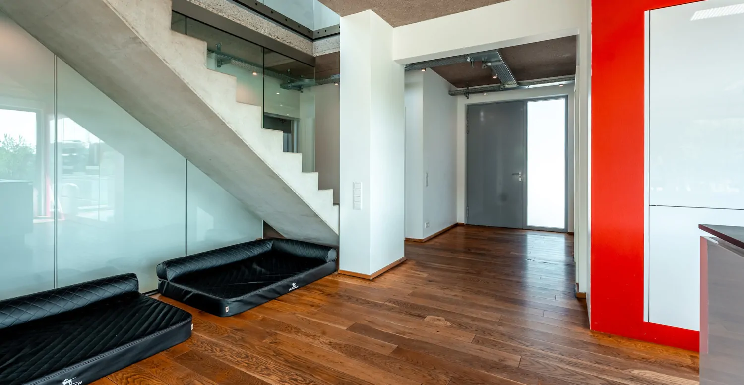 Eingangsbereich mit Betontreppe