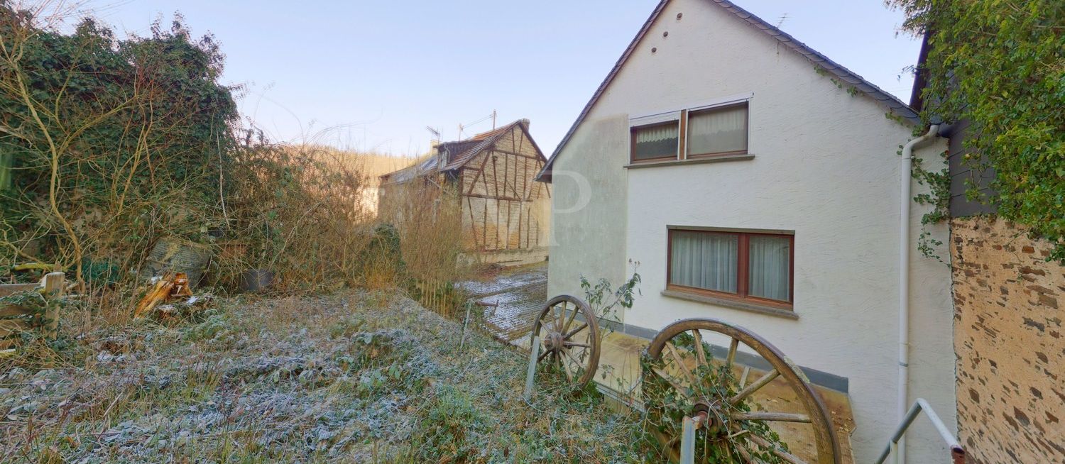 Garten_1