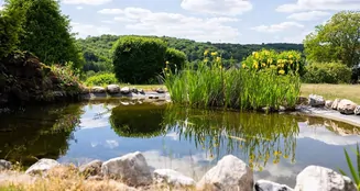 von_poll_real_estate_property_25014022_image_9