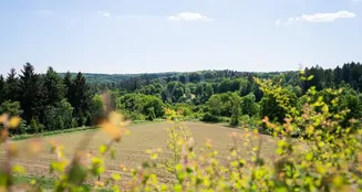 von_poll_real_estate_property_25014022_image_7