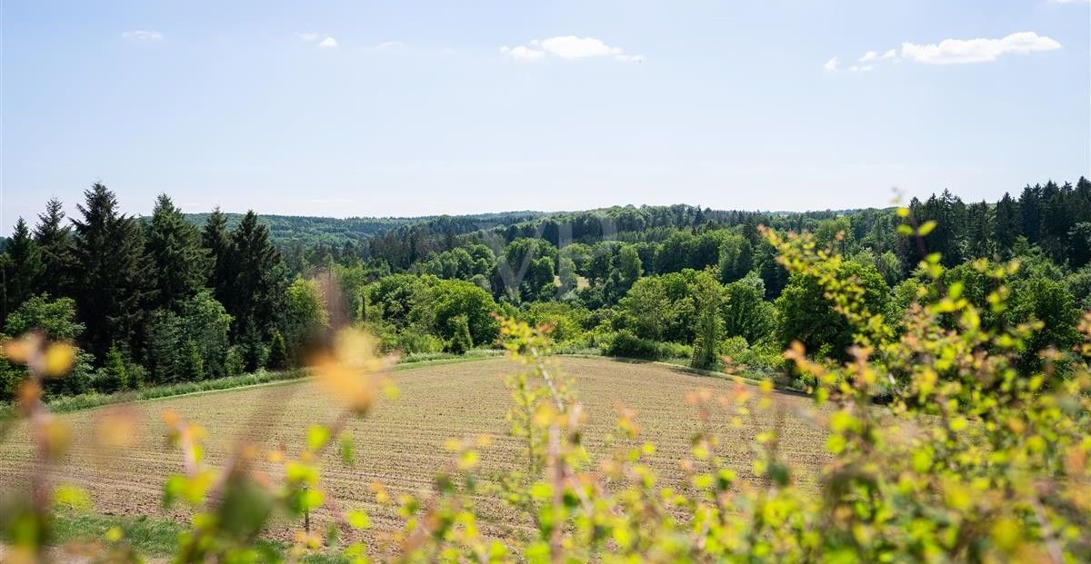 Impressionen
