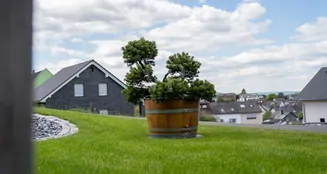 von_poll_real_estate_property_25014047_image_12