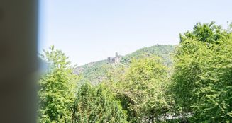 von_poll_real_estate_property_25014060_image_38