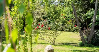 von_poll_real_estate_property_25014067_image_40