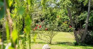 von_poll_real_estate_property_25014067_image_40