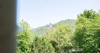 von_poll_real_estate_property_25014067_image_38