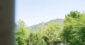 von_poll_real_estate_property_25014067_image_38