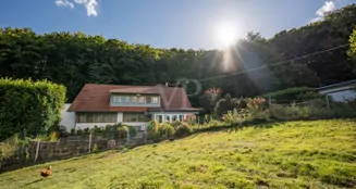 von_poll_real_estate_property_25014078_image_3