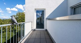 von_poll_real_estate_property_25014087_image_20