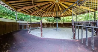 von_poll_real_estate_property_25014088_image_24