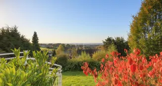 von_poll_real_estate_property_25014113_image_0