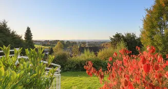 von_poll_real_estate_property_25014113_image_13