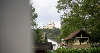 von_poll_real_estate_property_25014077_image_2