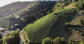 von_poll_real_estate_property_25014107_image_13