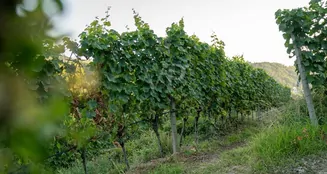 von_poll_real_estate_property_25014107_image_7