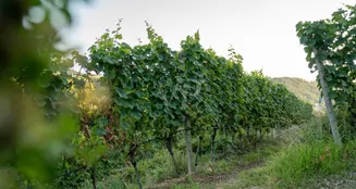 von_poll_real_estate_property_25014107_image_7