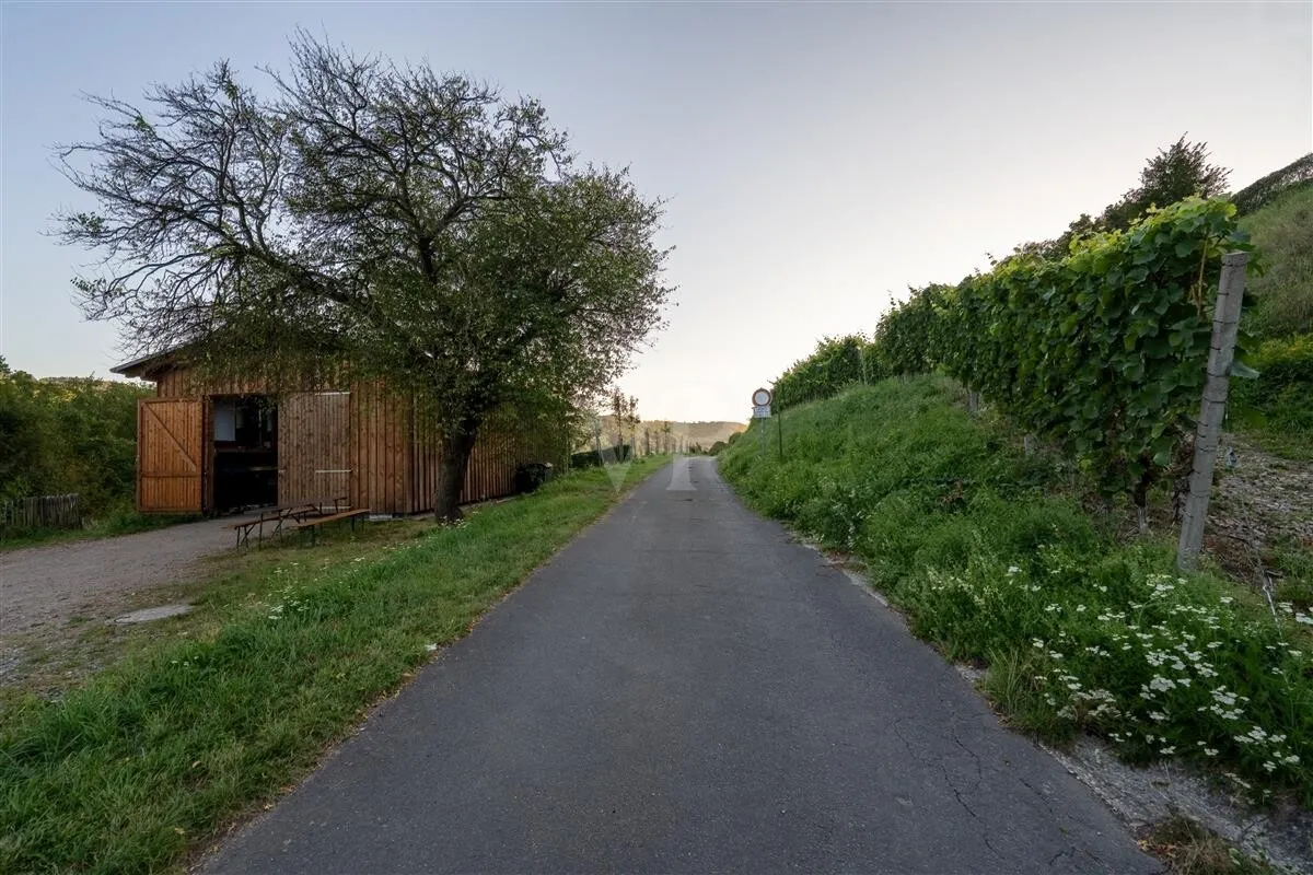 Holzhalle-Lage direkt am Wirtschaftsweg Bopparder Hamm