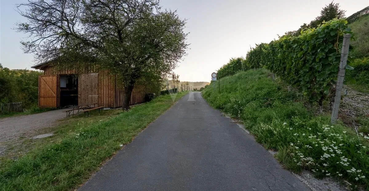 Holzhalle-Lage direkt am Wirtschaftsweg Bopparder Hamm