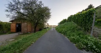 von_poll_real_estate_property_25014107_image_11