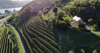 von_poll_real_estate_property_25014107_image_14