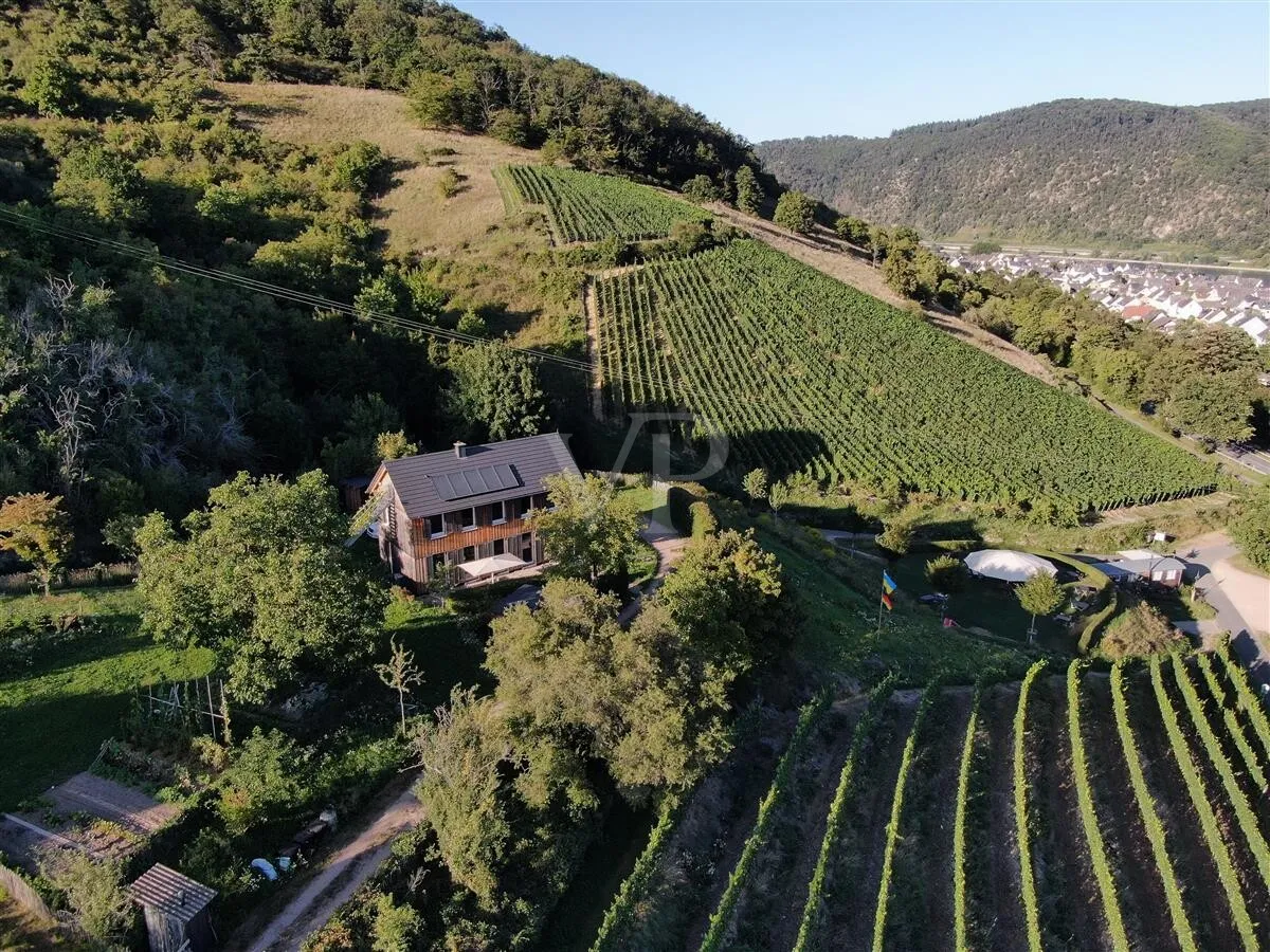 Weinlandschaft mit Charakter und Weitblick
