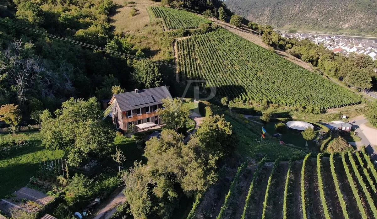 Weinlandschaft mit Charakter und Weitblick