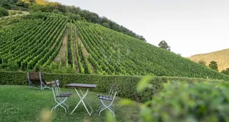 von_poll_real_estate_property_25014107_image_3