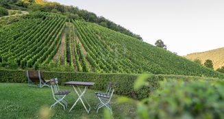 von_poll_real_estate_property_25014107_image_3