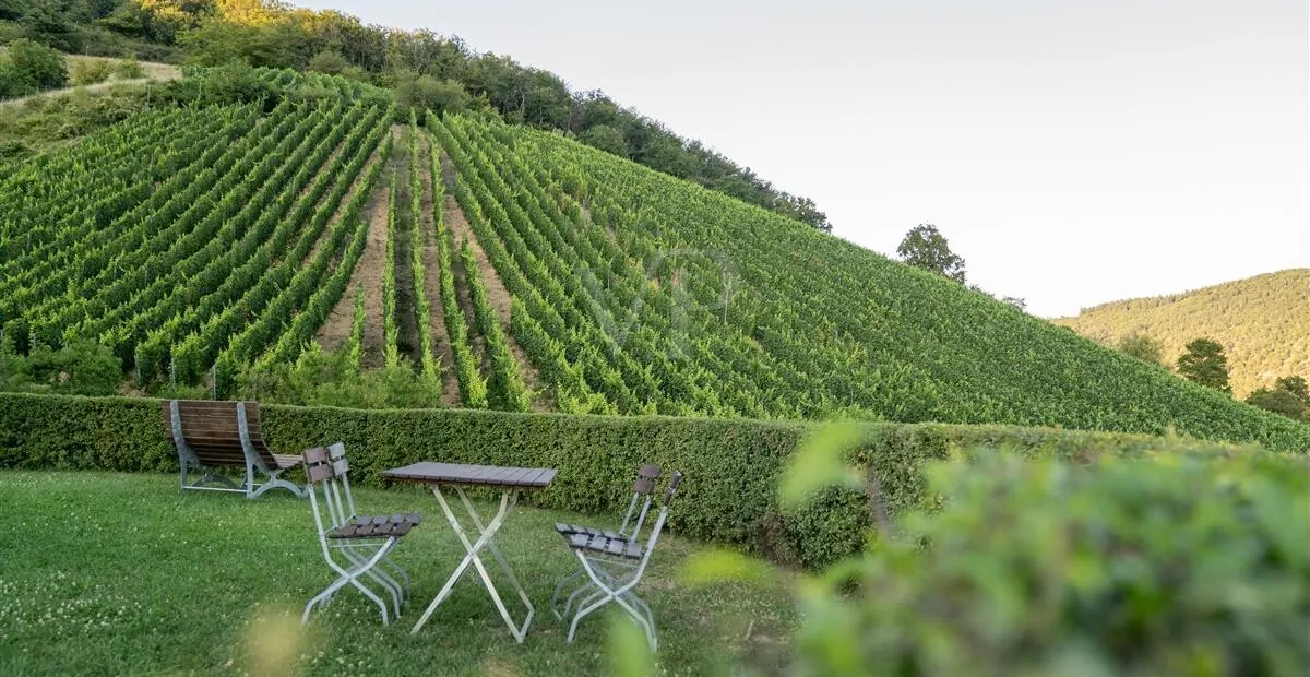 Picknickplatz über dem Weinkeller