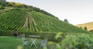 von_poll_real_estate_property_25014107_image_3