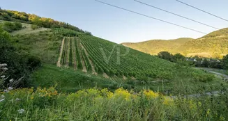 von_poll_real_estate_property_25014107_image_4