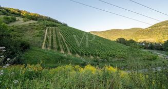 von_poll_real_estate_property_25014107_image_4