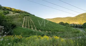 von_poll_real_estate_property_25014107_image_4