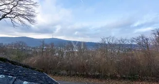 von_poll_real_estate_property_25014135_image_22