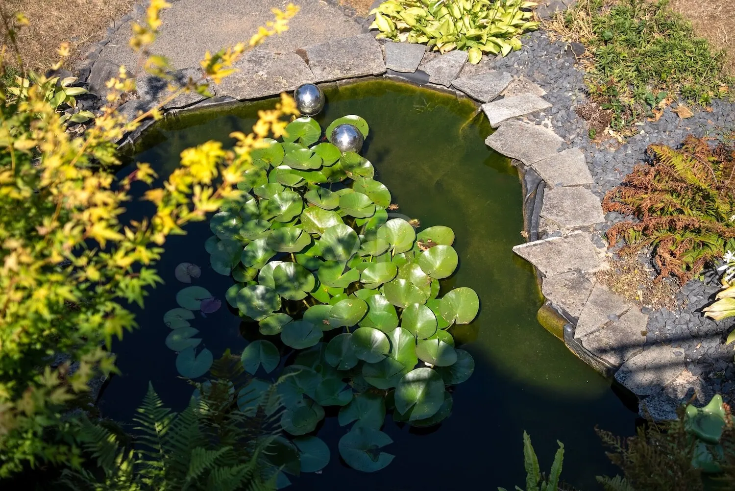 Gartenteich Detail
