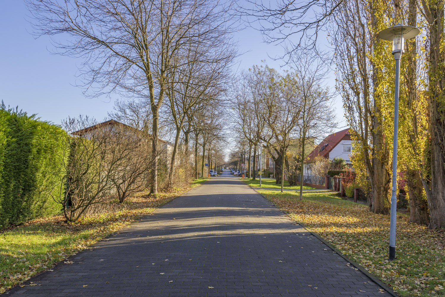Energieeffizientes modernes Zuhause in Bornstedt