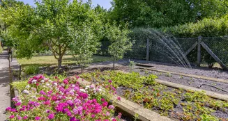 von_poll_real_estate_property_25310011_image_11