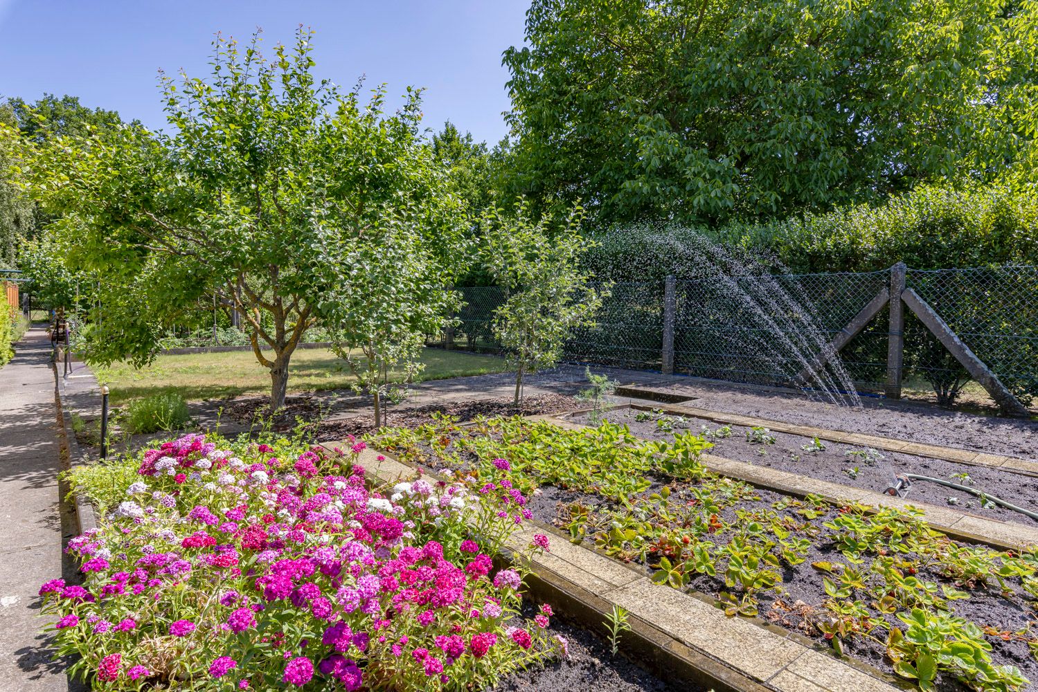 Gemüsegarten