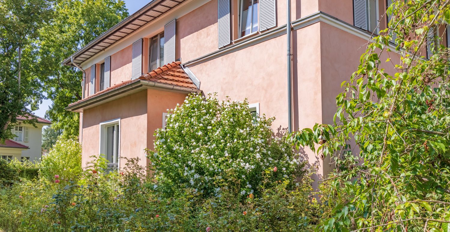 Vorgarten mit Rosen