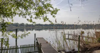 von_poll_real_estate_property_25310007_image_3