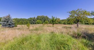 von_poll_real_estate_property_24310011_image_22
