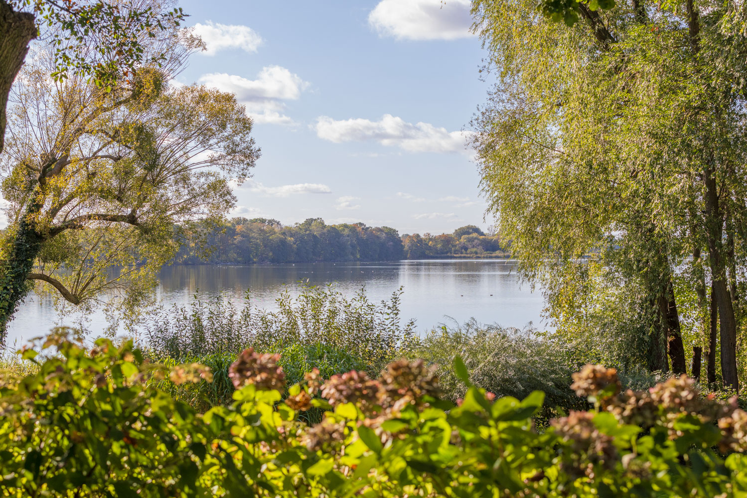 Gartenblick