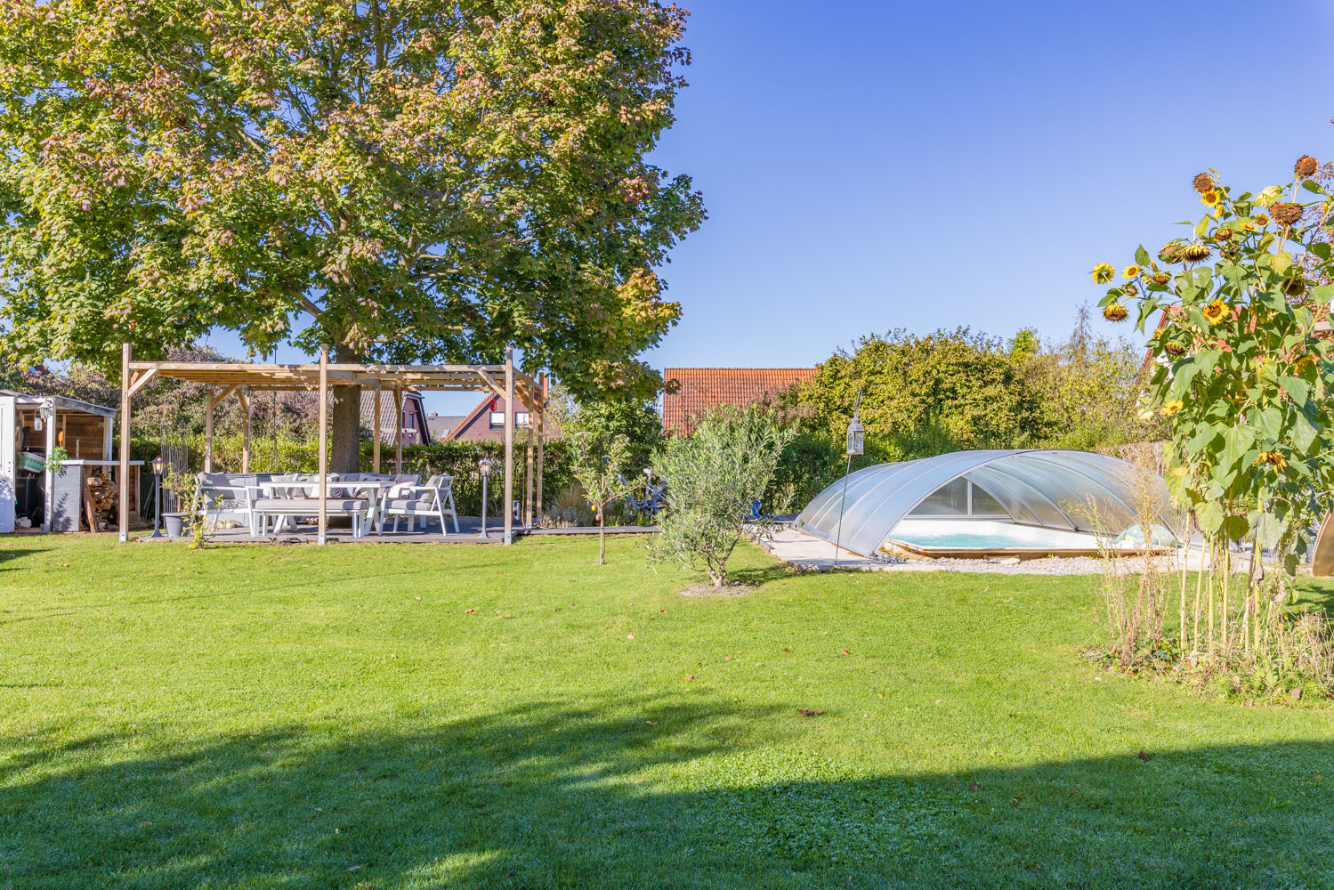 Garten mit Pool und Terrasse