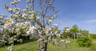 von_poll_real_estate_property_25310005_image_9