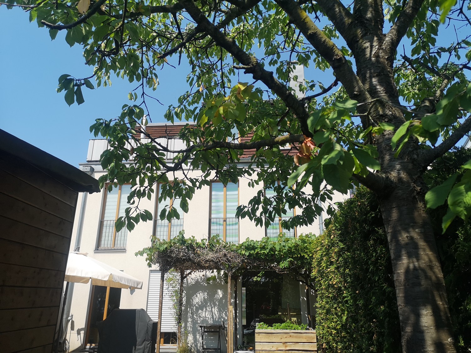 Hausansicht Garten