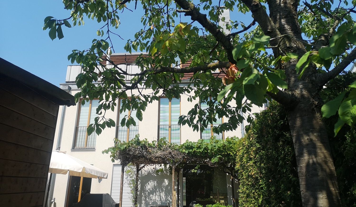 Hausansicht Garten