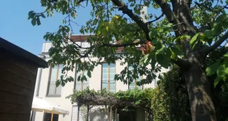 von_poll_real_estate_property_25109006_image_10