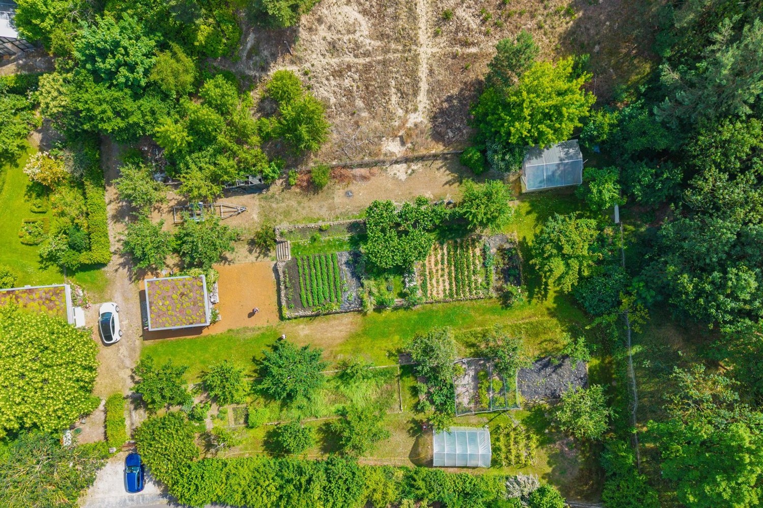eine Gartenanlage mit System